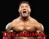 Batista the animal