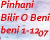 Pinhani Bilir O Beni
