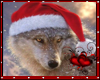 *SW* Wolf Christmas