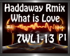 Haddaway - What  Love P1