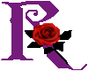 Purple Rose Letter R-2