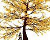Yellow Anim Kissn Tree