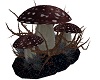 LAR Crypt Mushrooms