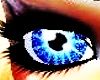 Blue shining eyes!