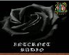 [ER] Black Rose Radio
