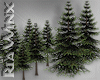 10 Pine Trees