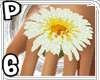 !APY !!Flo Ring(Daisy-Wh