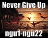 Never Give Up