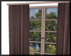 Window/Curtain & Tree ~