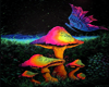 Background Mushroom  M