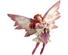 SeasonMagical Fairy