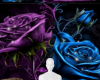 Purple teal rose bg