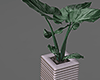 Ripple Planter