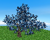 Blue & Silver Shade Tree