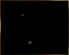 (A1) Fireflies