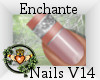 ~QI~ Enchante Nails V14