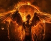 Fire Angel Dome