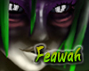 Feawah Flash Banner