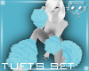 Tufts Blue 1a Ⓚ