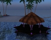 Always n Forever Island