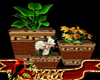 3 Piece Plant Set