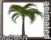 Animated Palm Tree V1