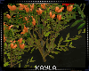 GARDEN FLOWERS LOVE