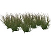 Small Bunch Grass Anim