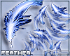 .n77 Blue Fall Feath