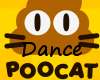 JV Poocat Dance