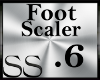 *SS Foot Scaler .6