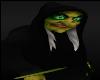 Evil Green Witch Magic Funny Halloween Costumes SOUNDS