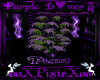 purple lovers plant