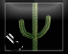 |IGI| Cactus Tree
