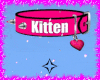 ♡ Kitten ♡ Pink