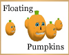 floating pumpkins