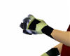 Raccoon gloves