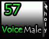 54_male_voice