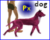 Px Purple dog