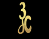 3JC logo pin