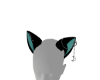 Kitty Ears Blk/Teal