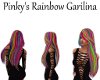 Pinkys Rainbow Garilina