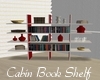 Cabin Book Shelf