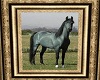 Horse Pic 2