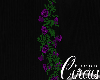 C` Purple Rose Garland