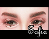 S!ϟBbrows.2