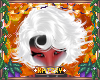 ꨄSparta F Hair 7 V1ꨄ