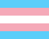 -R- Transgender flag