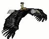 (DR) Animated Eagle