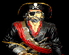 Pirate 5
